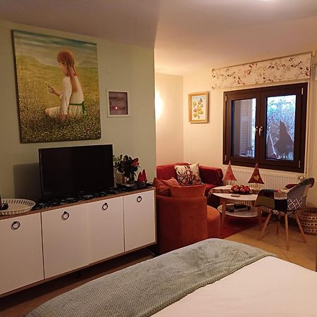 Apartamento Το Σπίτι Της Ευτυχίας Στούντιο Karpenísion Exterior foto