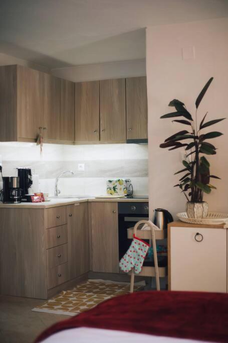 Apartamento Το Σπίτι Της Ευτυχίας Στούντιο Karpenísion Exterior foto