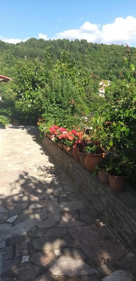 Apartamento Το Σπίτι Της Ευτυχίας Στούντιο Karpenísion Exterior foto